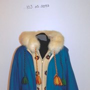 Cover image of  Parka